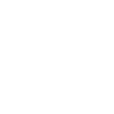 kuvasz